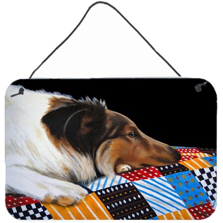 Carolines Treasures Day Dreamer Collie Wall or Door Hanging Prints AMB1037DS812